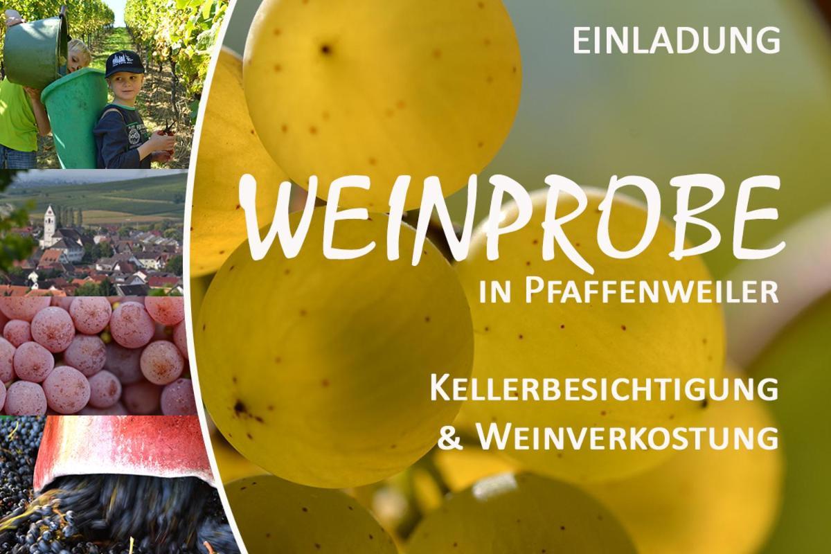 Apartament Am Weinberg - Stilvoll, Ruhig, Zum Wohlfuehlen Pfaffenweiler Zewnętrze zdjęcie
